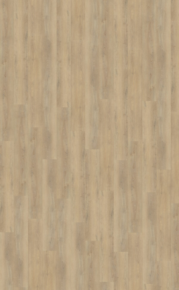 Palazzo 720 | Rigid Click