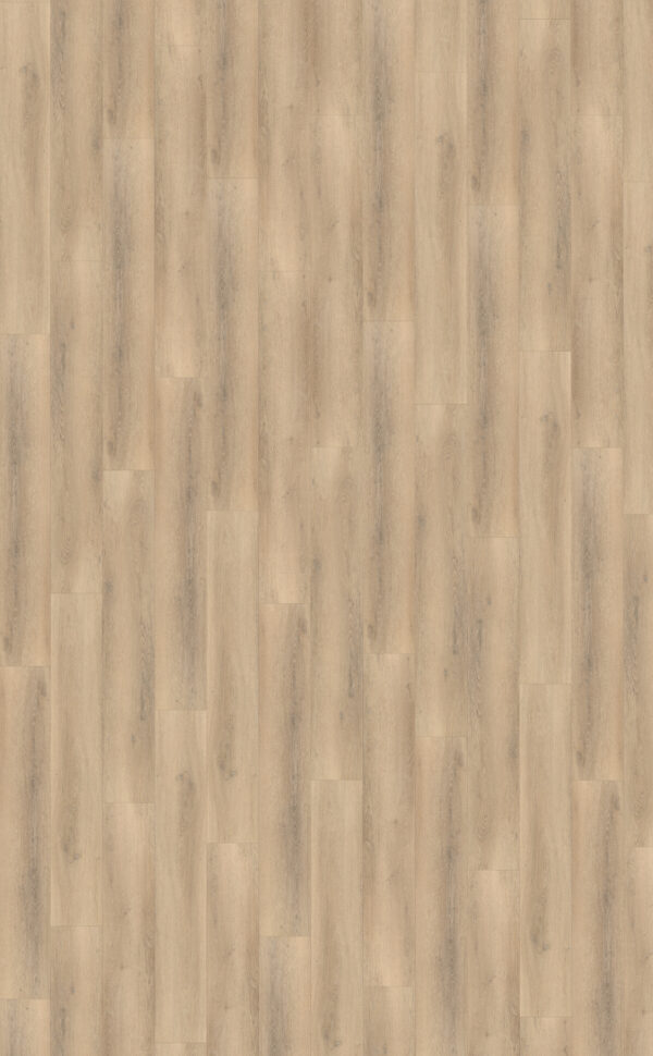 Palazzo 750 Rigid Click