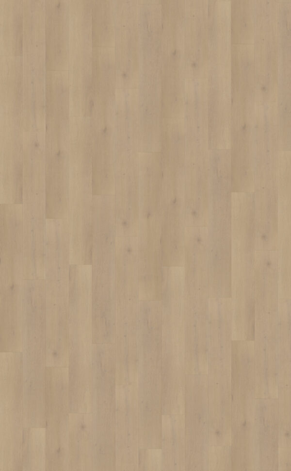 Palazzo 770 | Rigid Click